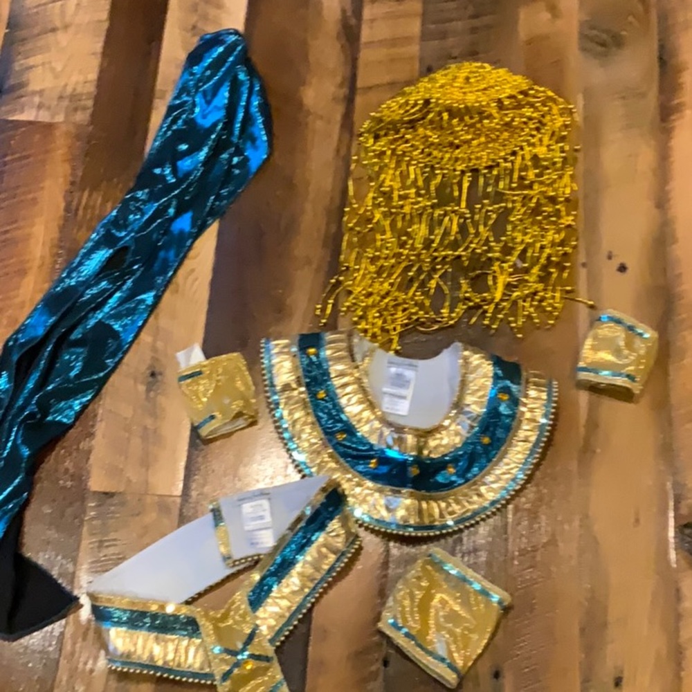 Chasing Fireflies Halloween Costume Cleopatra